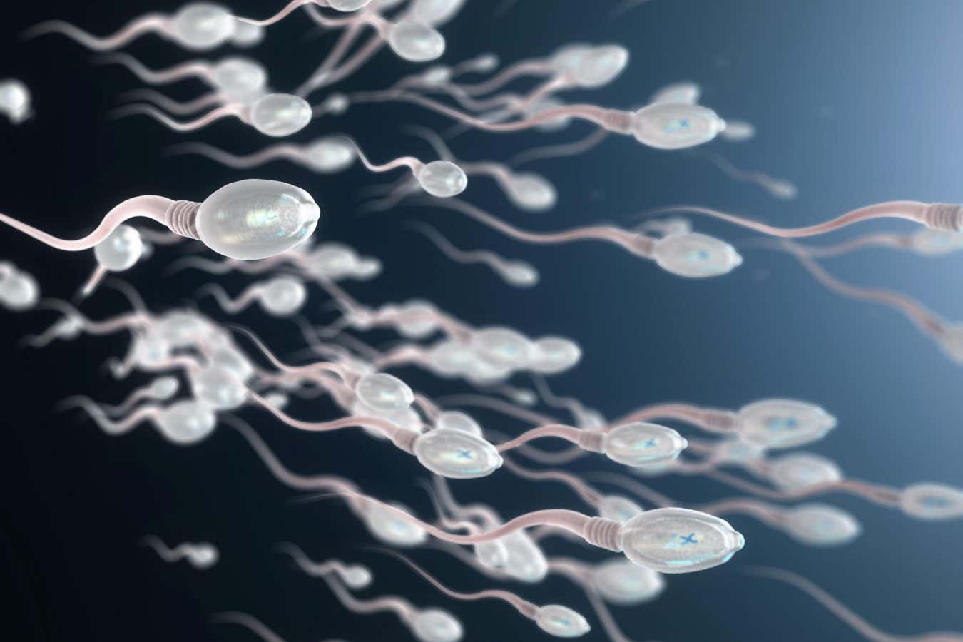 Why Sperm Counts Are Decreasing Globally: Uncovering the Reasons